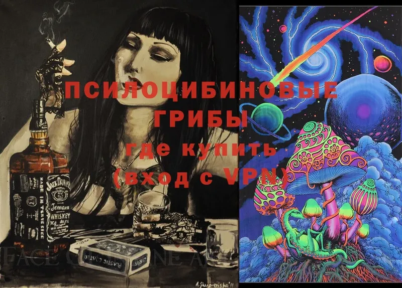 кракен ссылки  Карабулак  Галлюциногенные грибы Magic Shrooms 